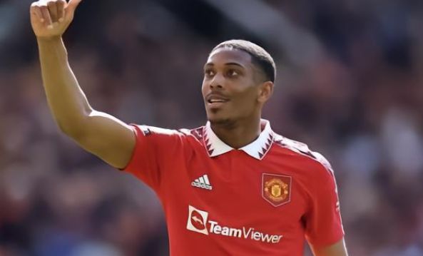 在巴西国家 在巴西国家